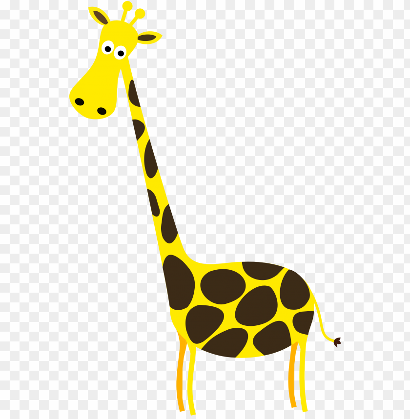 animals, giraffe, wildlife, African fauna, endangered species