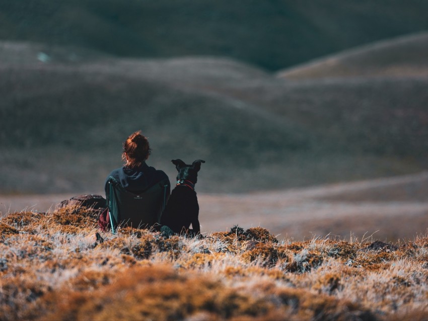 girl, dog, friends, mountains, trip