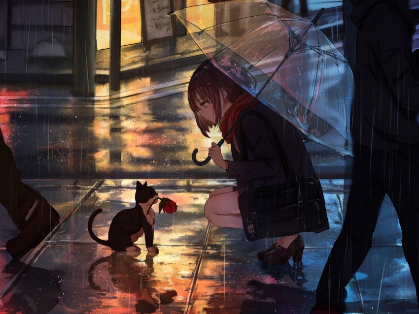 girl, kitten, flower, anime, street, rain