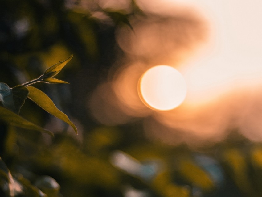 Glare Bokeh Sunset Blur Light Background