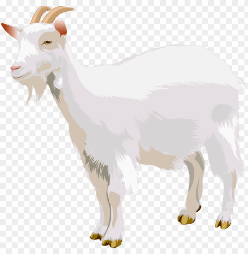 goat png, png,goat