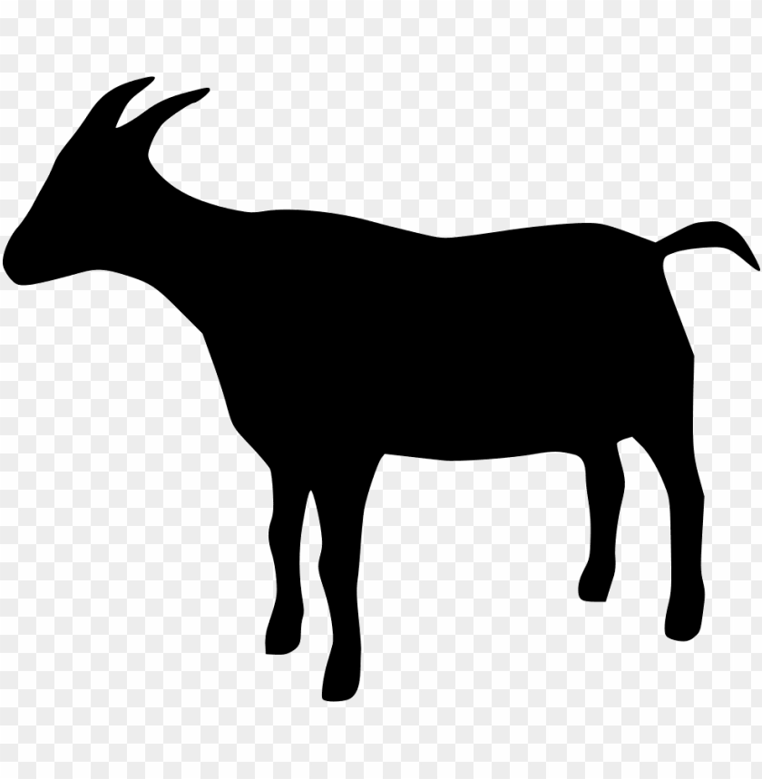 goat, livestock, farm animal, herbivore, nature, animal silhouette, rural life