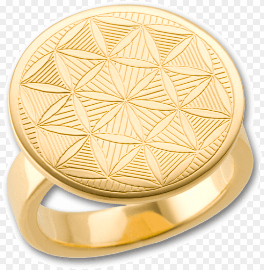 gold plate png, png,plate,gold,goldplate