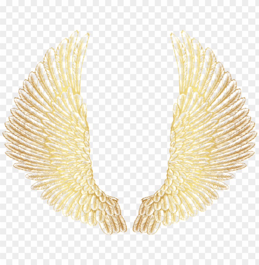 gold wings