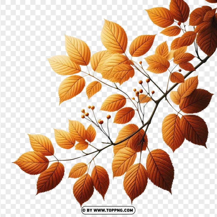 Golden Yellow Autumn Branch PNG Transparent Background