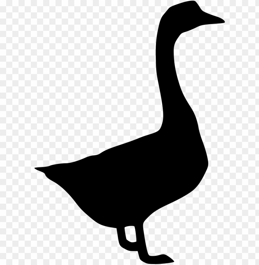 goose png,goose,goose transparent background,goose file png,goose clipart,goose png images,goose png clipart