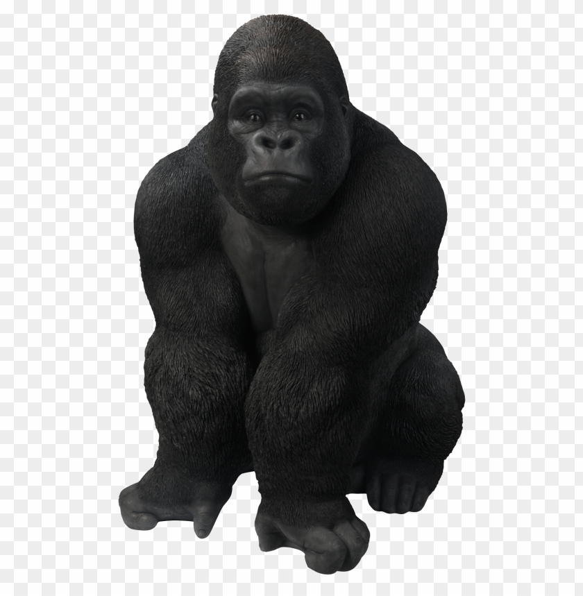 Realistic black gorilla sculpture in a sitting positio PNG