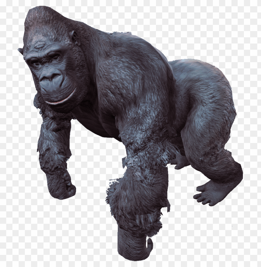 Realistic 3D rendering of a strong gorilla standing in a natural pose PNG