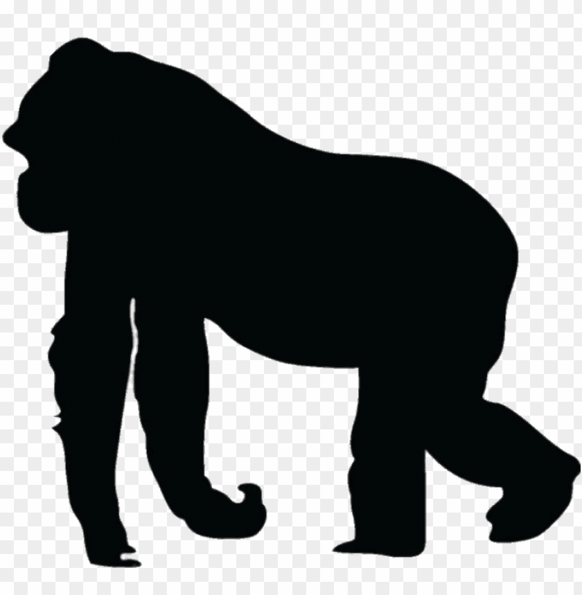 miscellaneous, silhouettes, gorilla, 