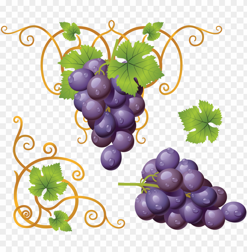 
grape
, 
berry
, 
fruit
, 
wine
