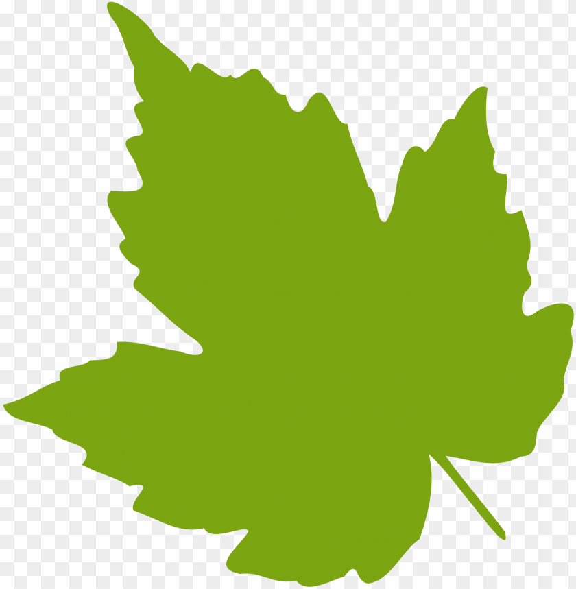 leaf crown, green leaf, leaf clipart, pot leaf, palm tree leaf, weed leaf