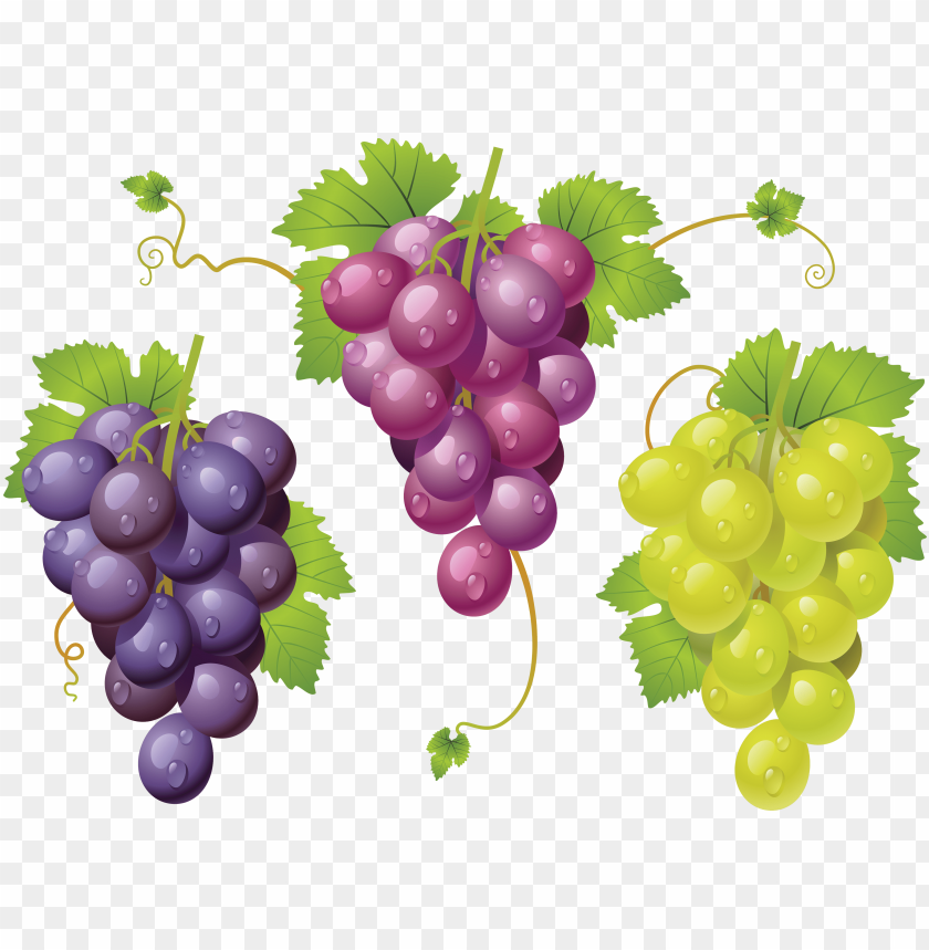 
grape
, 
berry
, 
grapes
, 
fruit
, 
food
