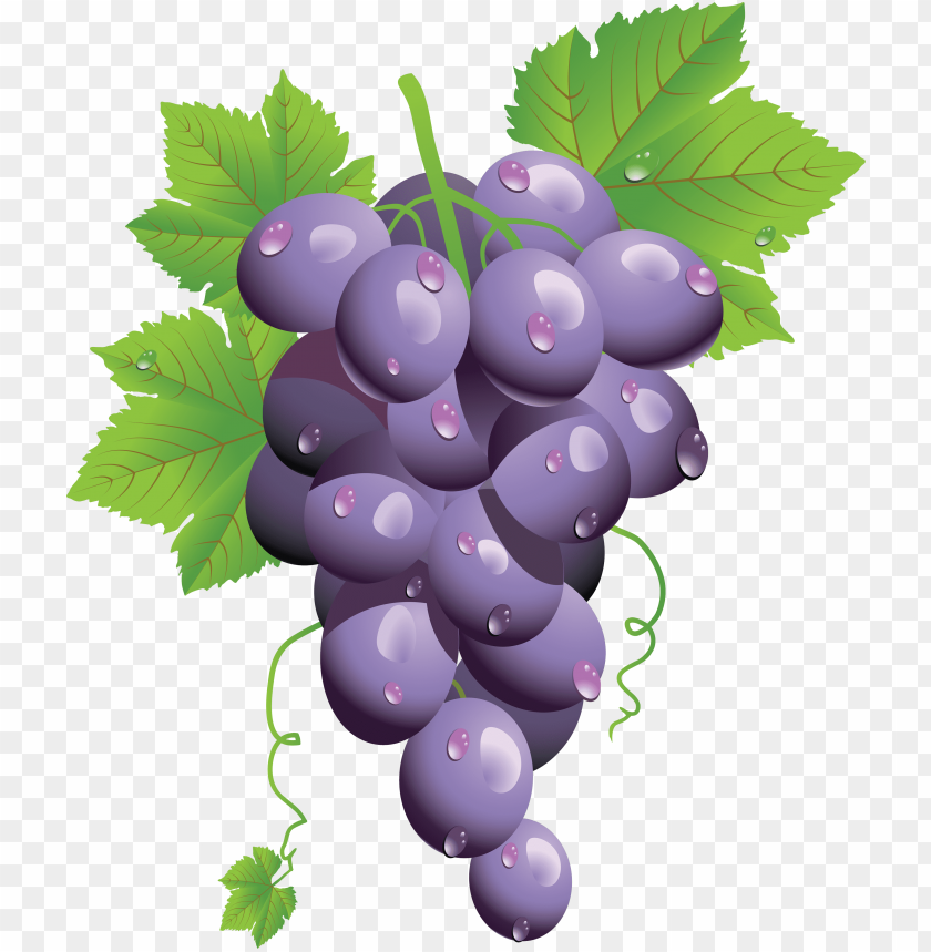 
grape
, 
berry
, 
grapes
, 
fruit
, 
food
