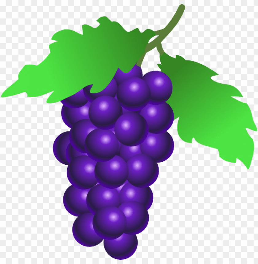 
grape
, 
berry
, 
grapes
, 
fruit
, 
food
