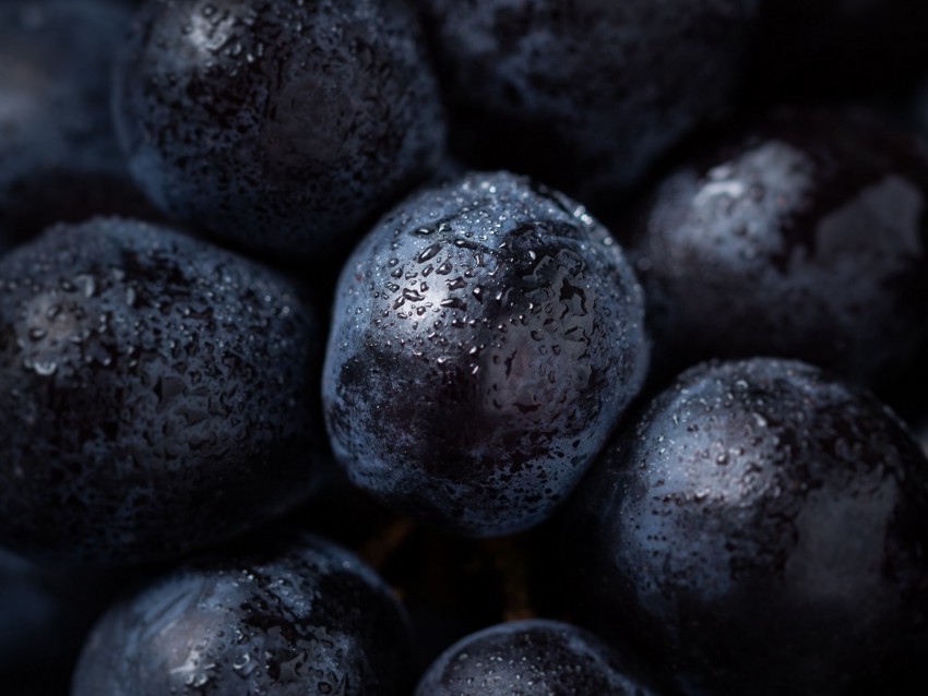 grapes, berry, drops, macro, ripe