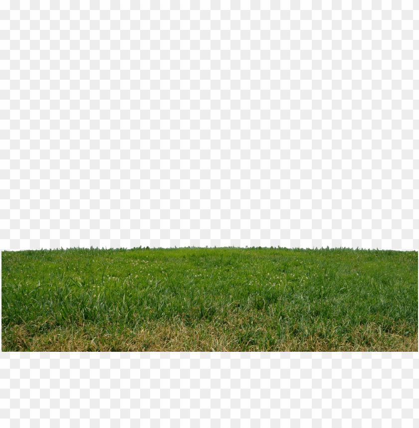 png grass, grass png images, grass transparent image, grass landscape png grass transparent background, grass landscape,  grass landscape png, grass background