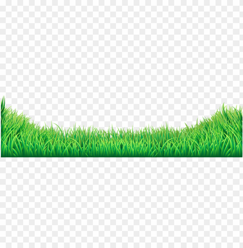 grass ,grounds ,coverings ,herb , grass , weed , pasture 