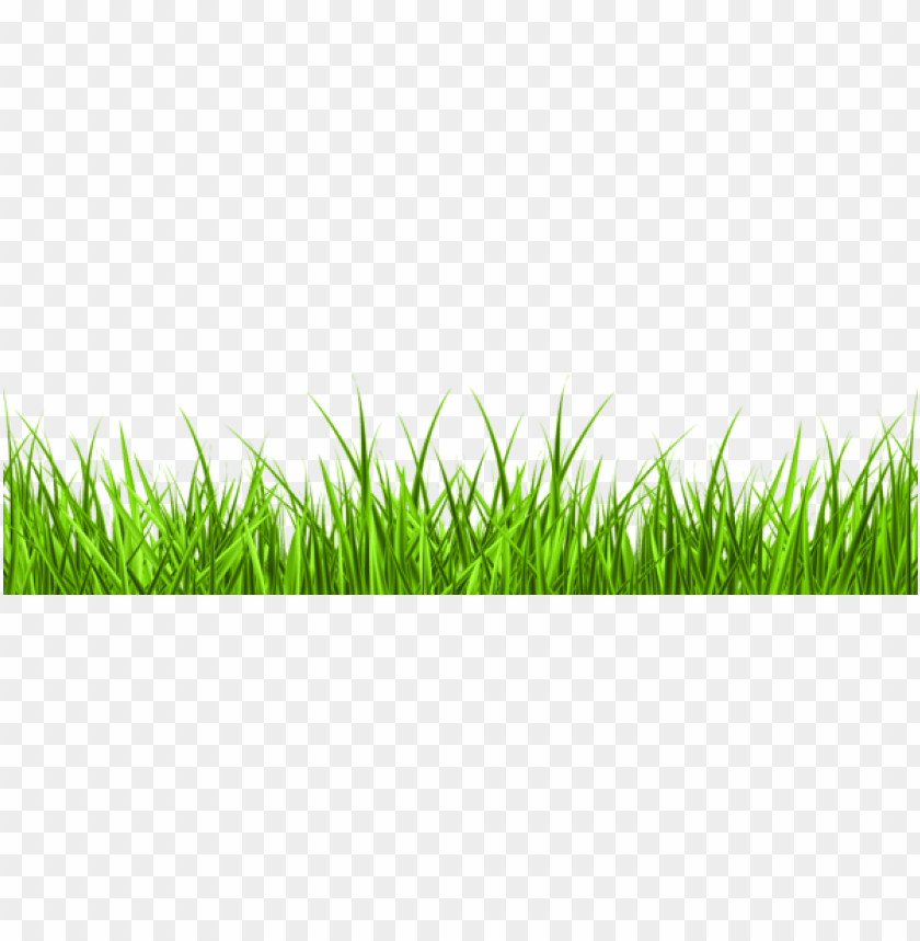 grass ,grounds ,coverings ,herb , grass , weed , pasture 