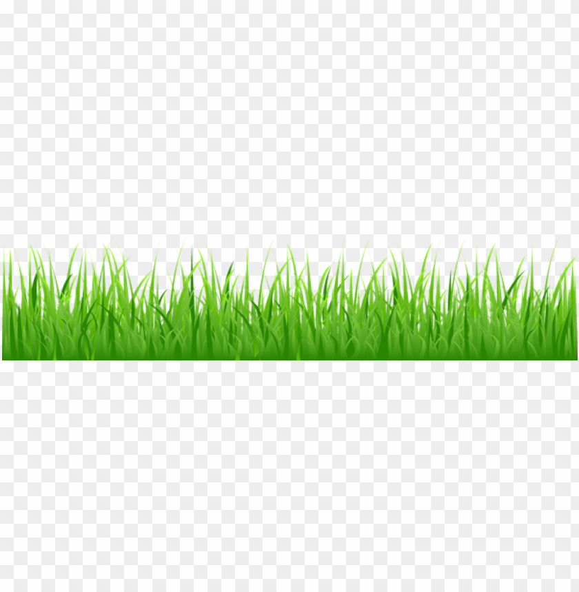 grass ,grounds ,coverings ,herb , grass , weed , pasture 