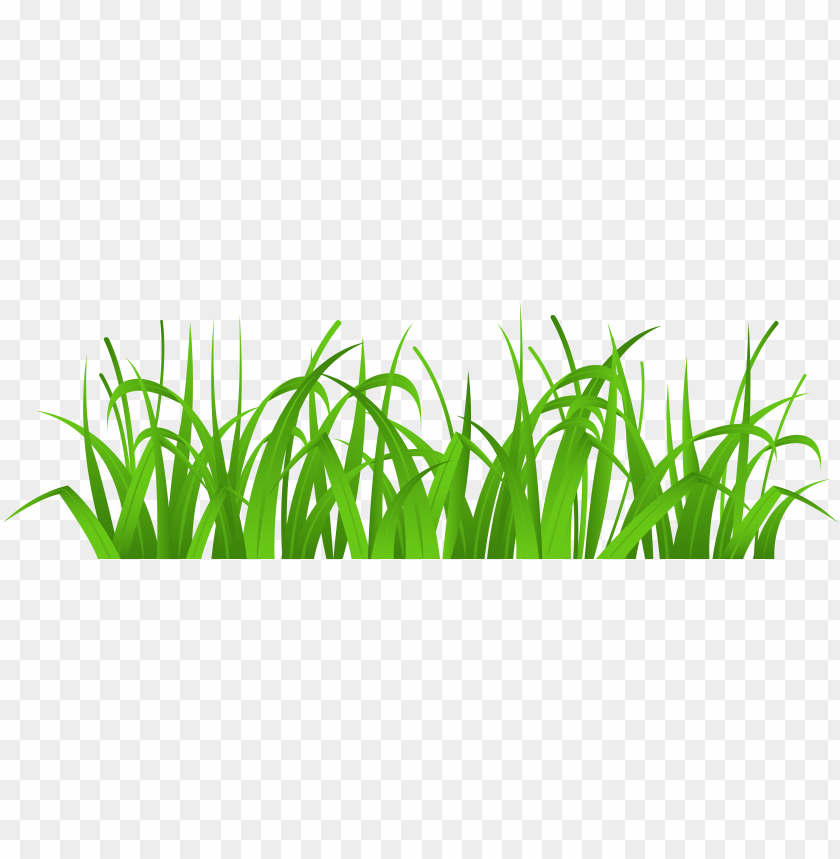 green grass, grass hill, ornamental grass, grass vector, grass border, minecraft grass block