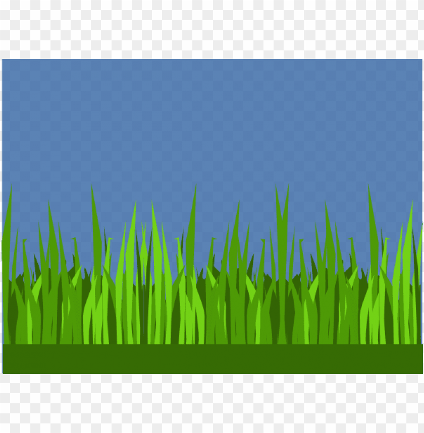 green grass, grass hill, ornamental grass, grass vector, grass border, minecraft grass block