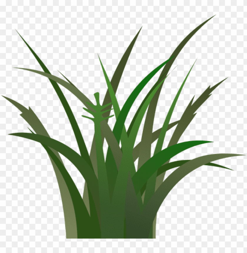 green grass, grass hill, ornamental grass, grass vector, grass border, minecraft grass block