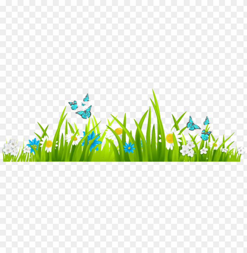 green grass, grass hill, ornamental grass, grass vector, grass border, minecraft grass block