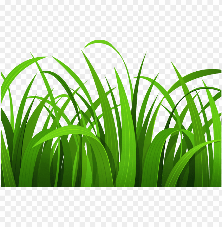 green grass, grass hill, ornamental grass, grass vector, grass border, minecraft grass block