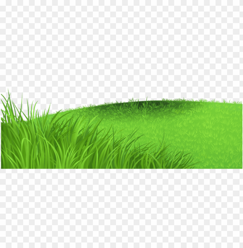 grass ,grounds ,coverings ,herb , grass , weed , pasture 