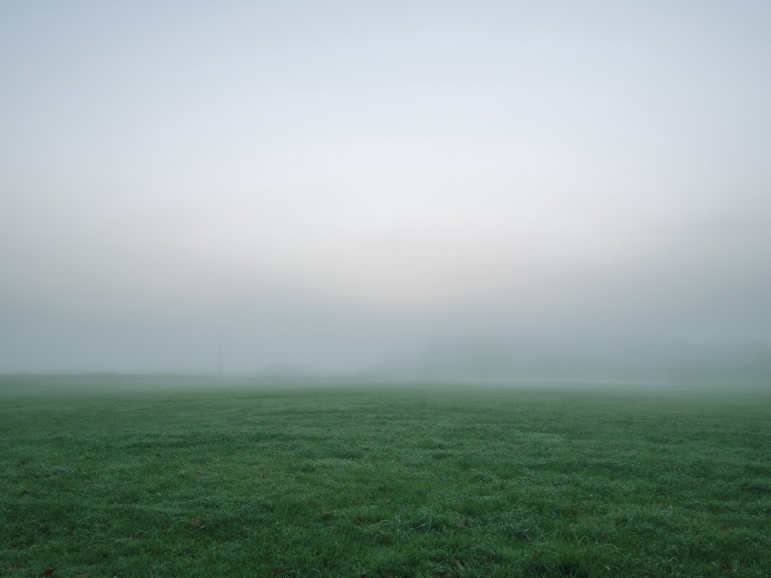 Grass Fog Thick Impenetrable Field Background