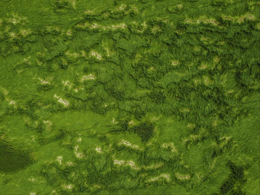 Grass Greens Aerial View Ground Surface Background