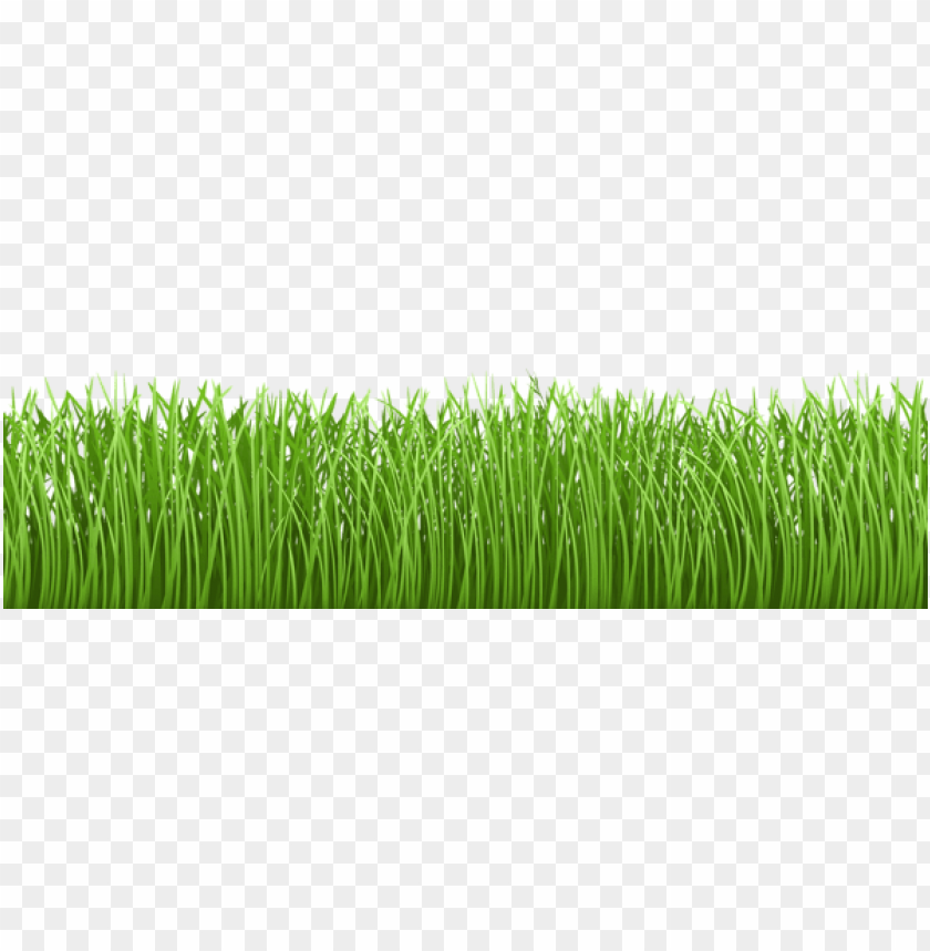 grass ,grounds ,coverings ,herb , grass , weed , pasture 