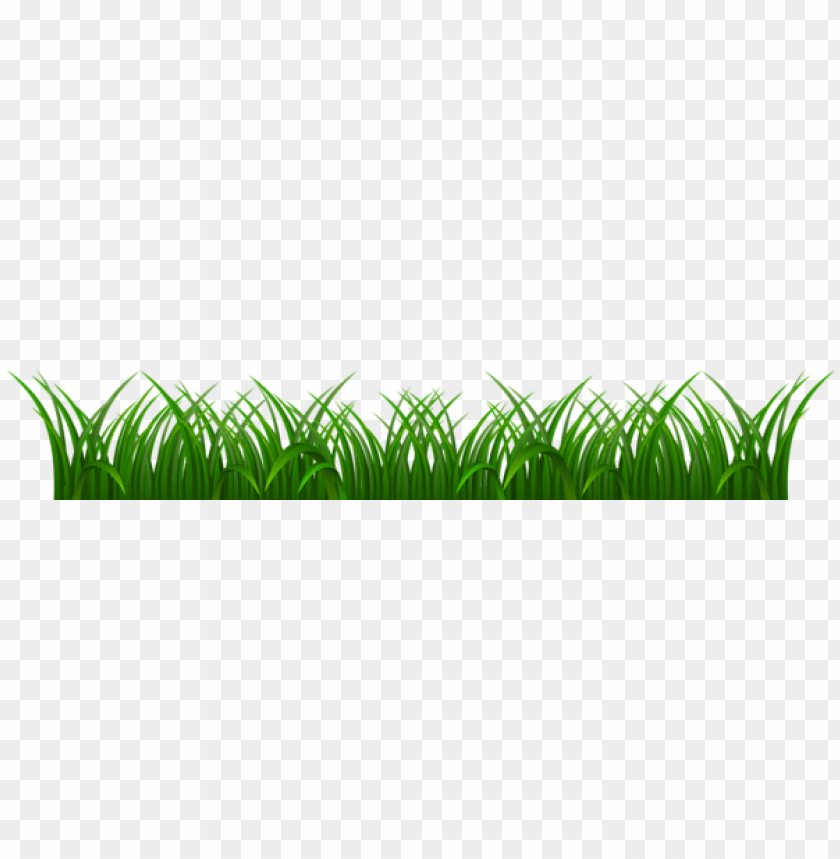 grass ,grounds ,coverings ,herb , grass , weed , pasture 