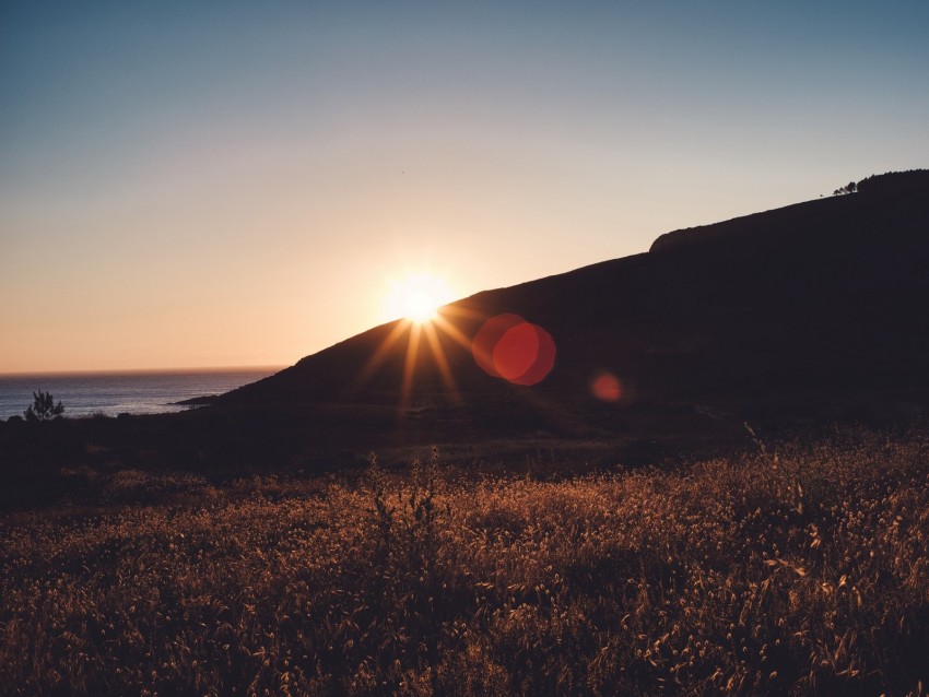 grass, horizon, sunset, sky, landscape