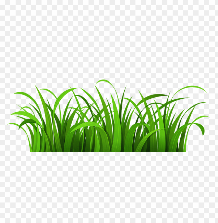 grass ,grounds ,coverings ,herb , grass , weed , pasture 