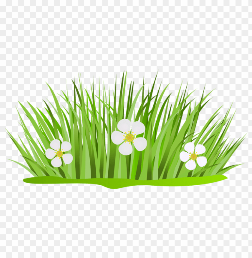 grass ,grounds ,coverings ,herb , grass , weed , pasture 