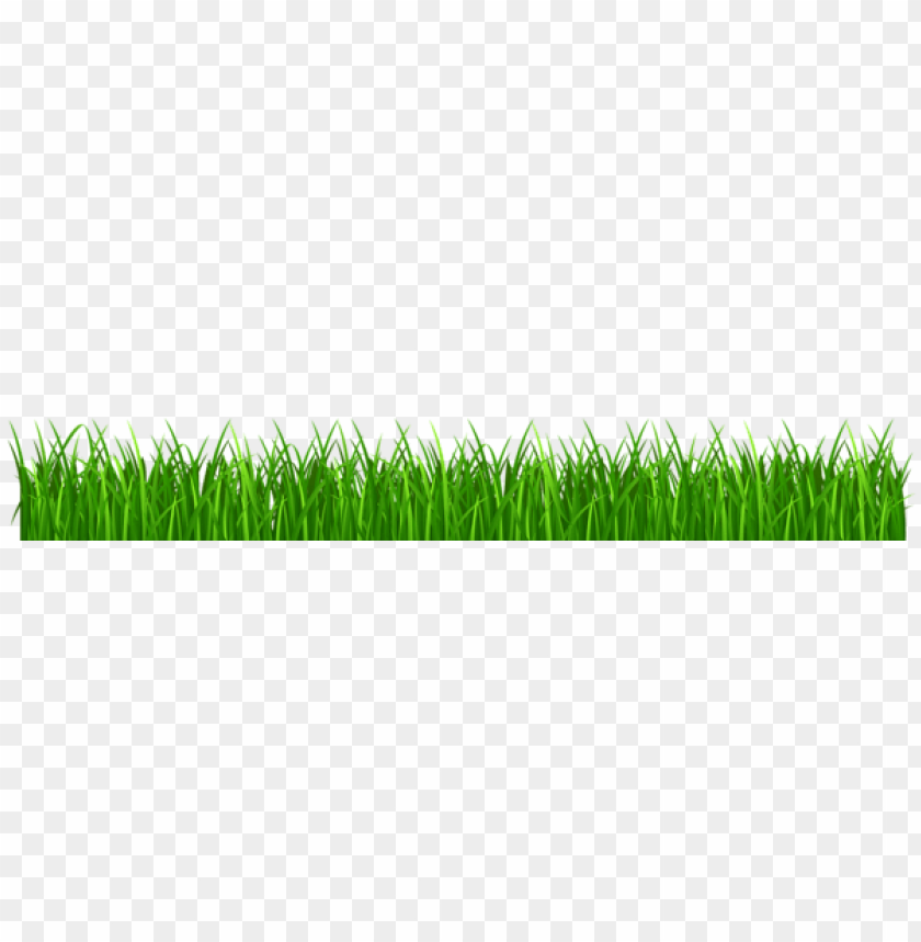 grass ,grounds ,coverings ,herb , grass , weed , pasture 