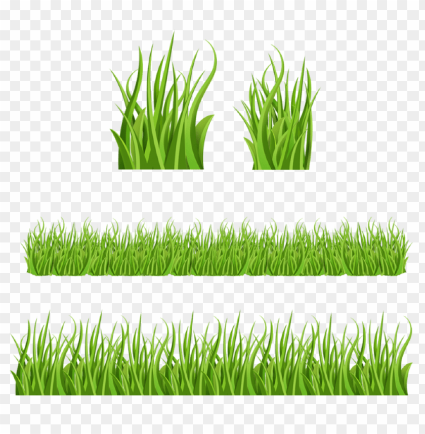 grass ,grounds ,coverings ,herb , grass , weed , pasture 