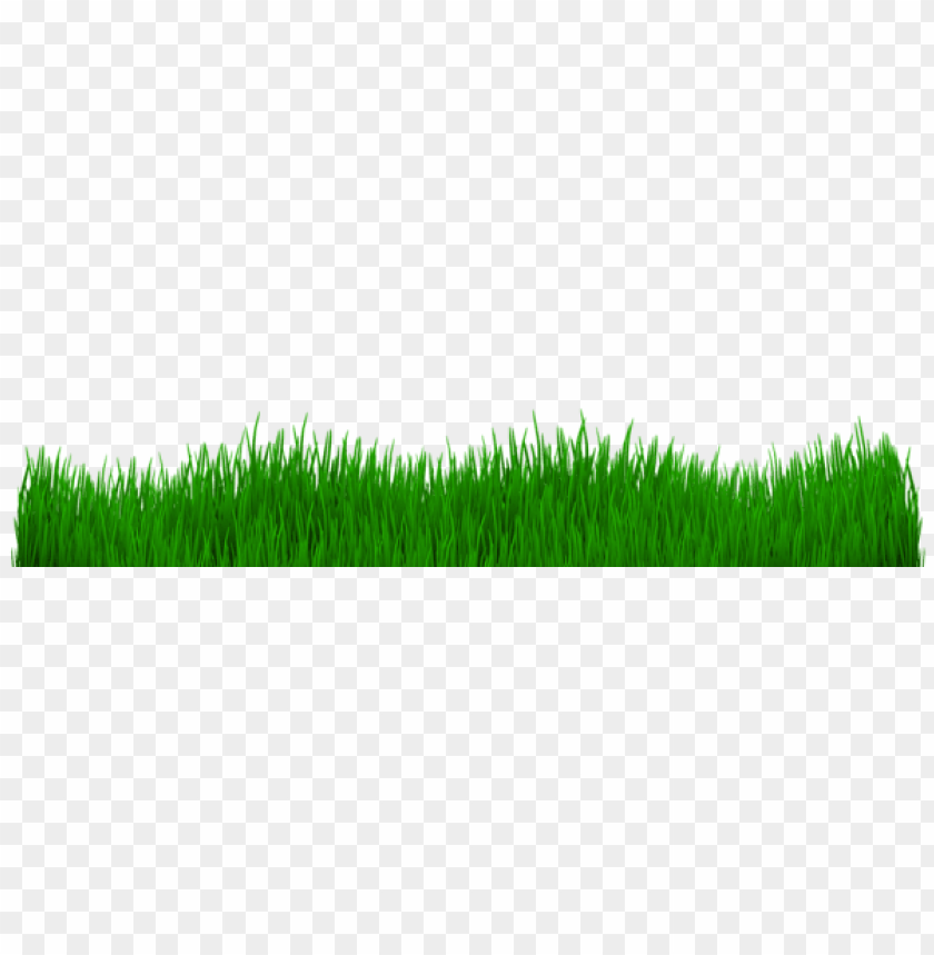 grass ,grounds ,coverings ,herb , grass , weed , pasture 