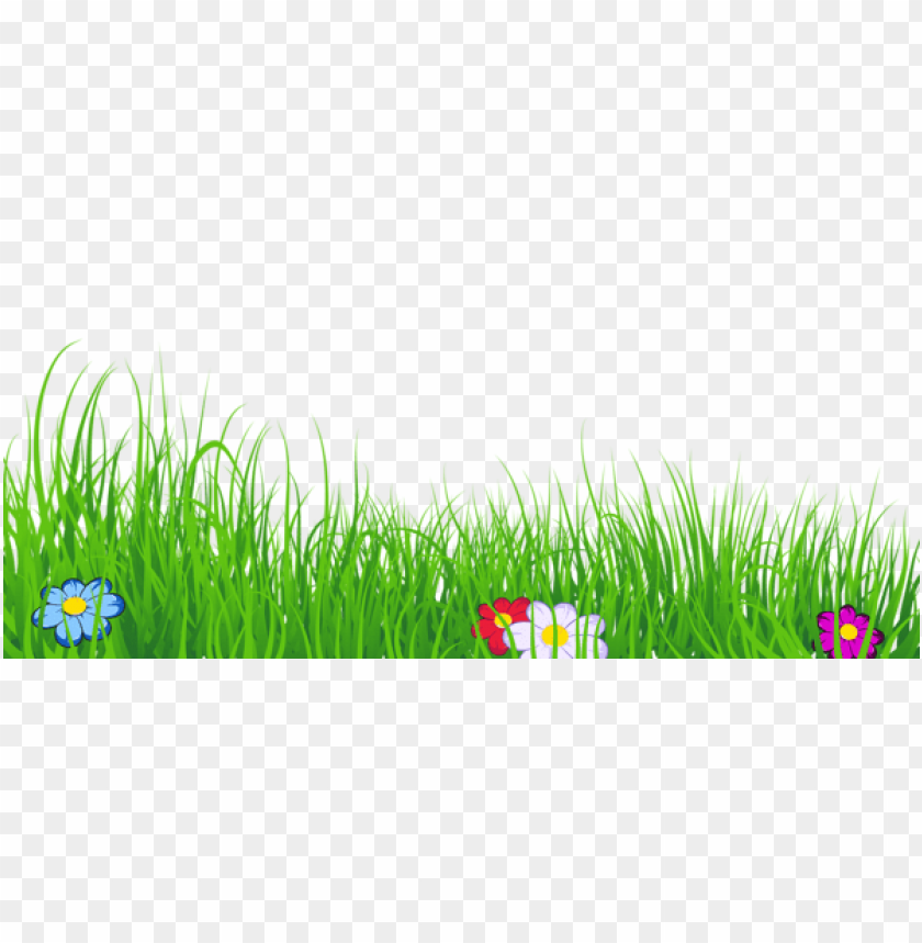 grass ,grounds ,coverings ,herb , grass , weed , pasture 