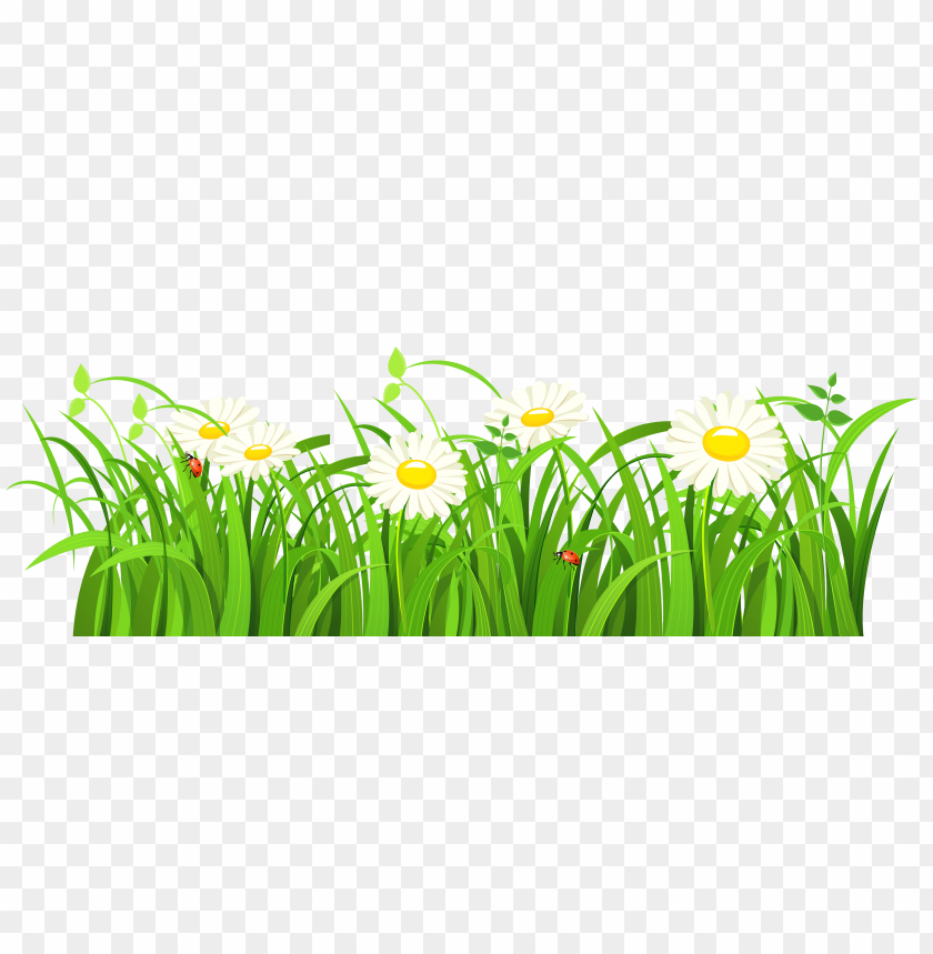 
nature
, 
green
, 
grass
, 
lawn
, 
vector
