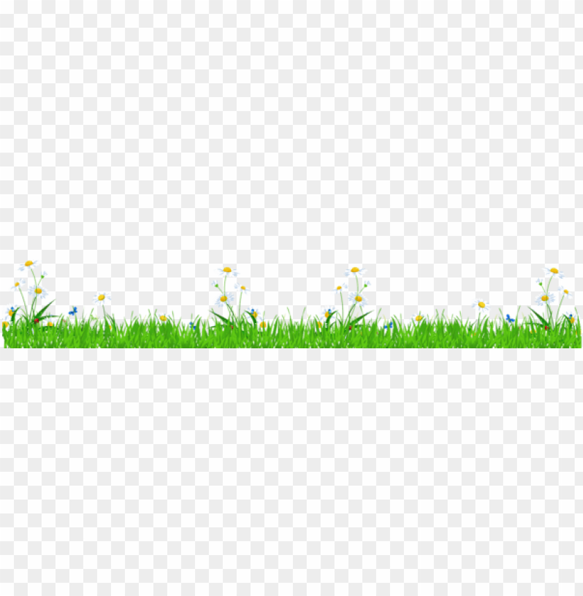 grass ,grounds ,coverings ,herb , grass , weed , pasture 