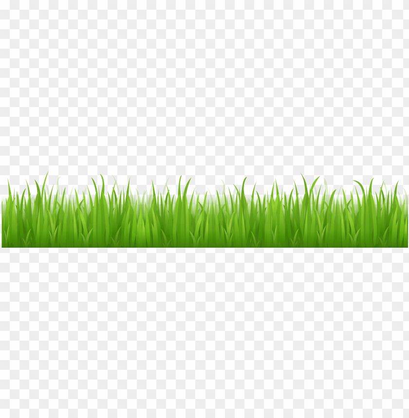 green grass, grass hill, ornamental grass, grass vector, grass border, minecraft grass block