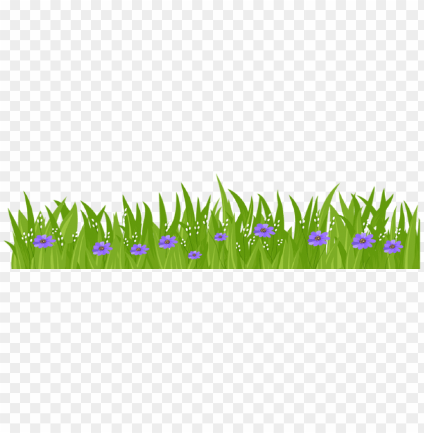 grass ,grounds ,coverings ,herb , grass , weed , pasture 