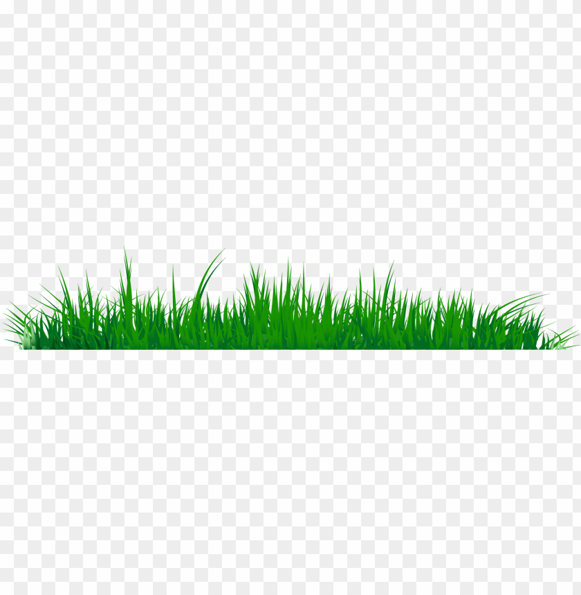 green grass, grass hill, ornamental grass, grass vector, grass border, minecraft grass block