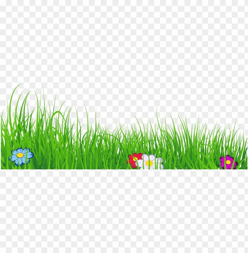 green grass, grass hill, ornamental grass, grass vector, grass border, minecraft grass block