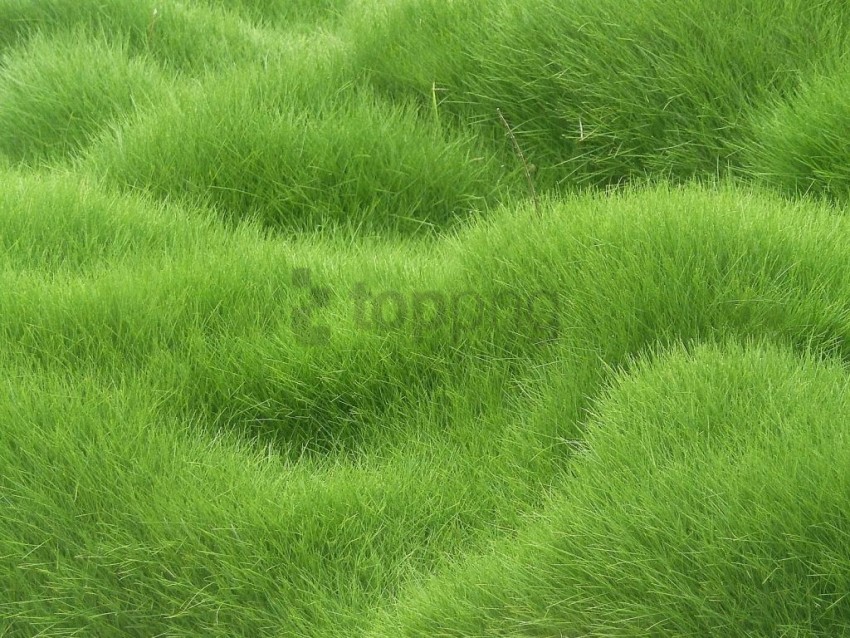 green background texture, texture,green,background