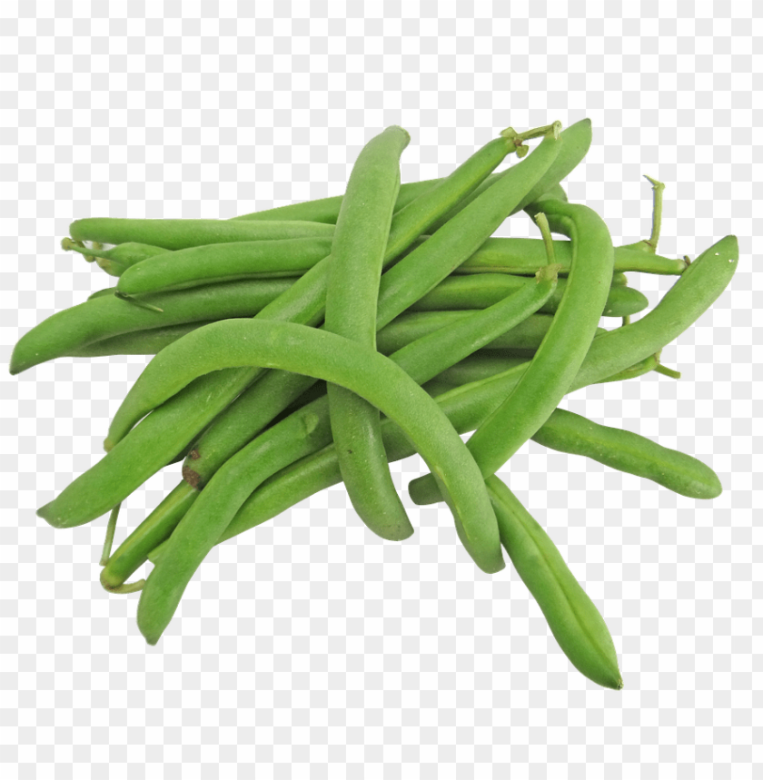 vegetables, bean, string beans, green beans, snap beans, french beans,الخضروات 