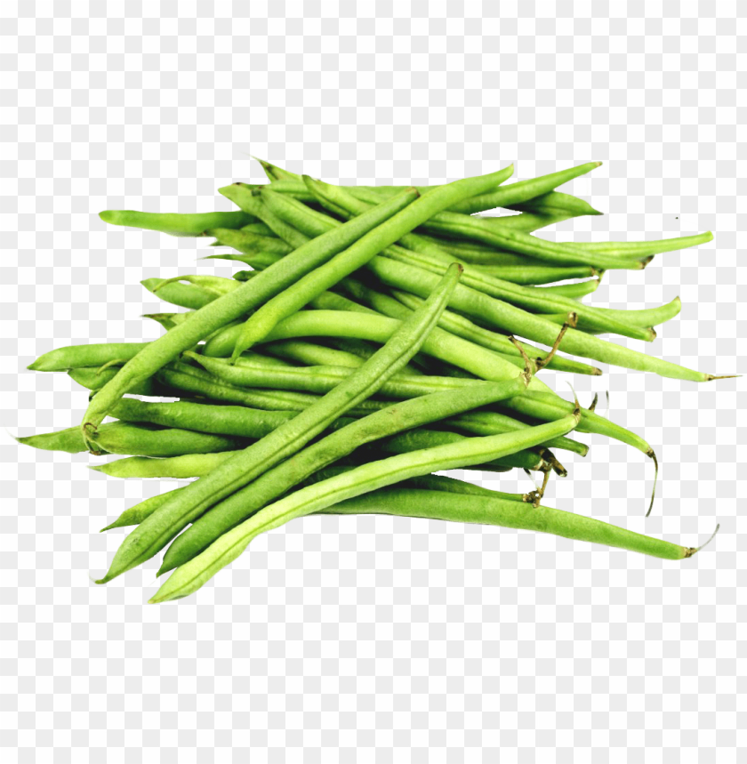 
vegetables
, 
bean
, 
string beans
, 
green beans
, 
snap beans
, 
french beans
