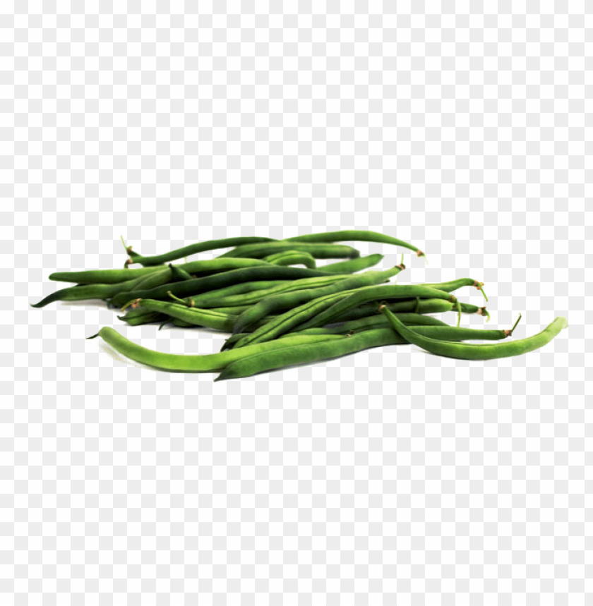 vegetables, bean, string beans, green beans, snap beans, french beans,الخضروات 